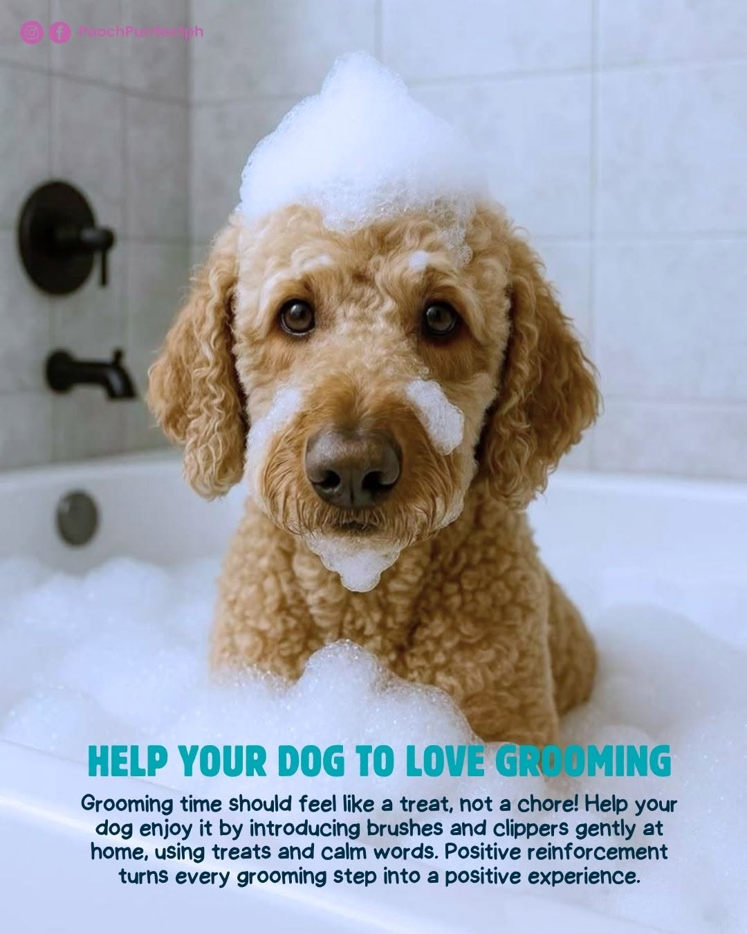Full bath and wash service